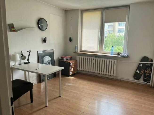 Słoneczne , rozkładowe, SADYBA