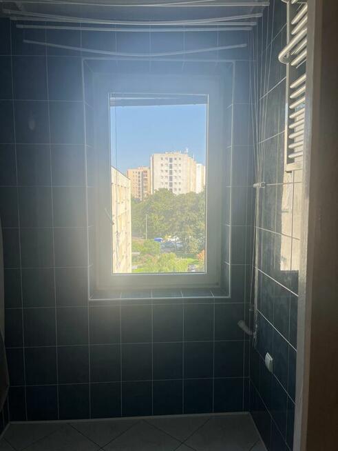 Słoneczne , rozkładowe, SADYBA