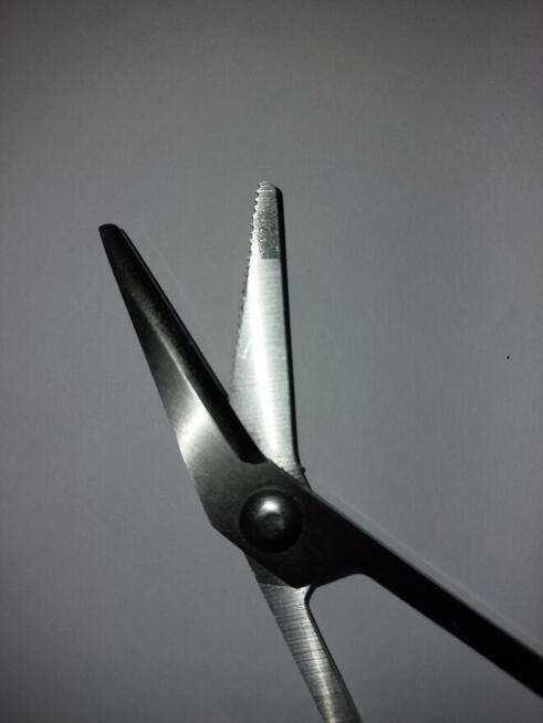 Nożyczki długie zakrzywione z ząbkami