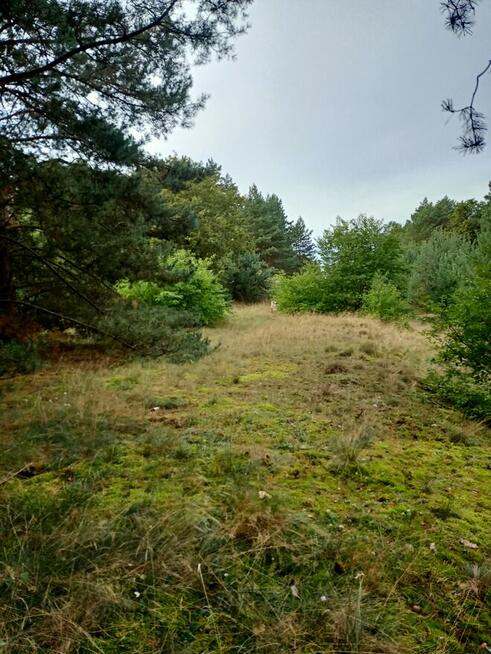 Działka Świbinki - rolna z warunkami zabudowy