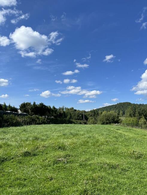 Cena do ustalenia! Sprzedam piękna działkę ,Brzegi Dolne