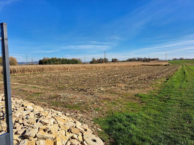 Nieruchomość w Widaczu wraz z lokatorami, pilna sprzedaż!