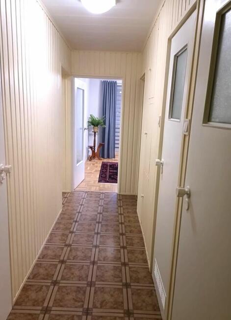 2 pokoje do wynajęcia, bez innych lokatorów - salon gratis