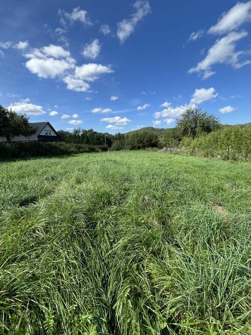 Cena do ustalenia! Sprzedam piękna działkę ,Brzegi Dolne