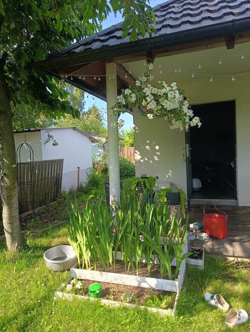 Piękna działka rod z domem murowanym Kalisz