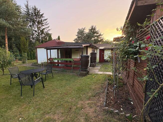 Działka ROD Mokotów Centrum