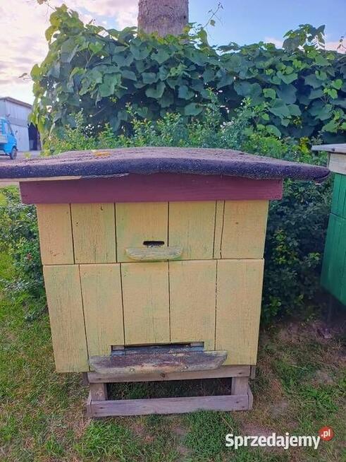 Ule wielkopolskie 12 ramkowe z pełną nadstawką