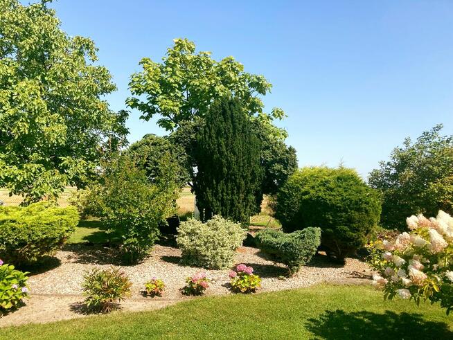 Działka z domkami letniskowymi