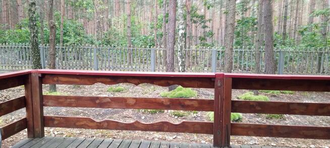 sprzedam domek letniskowy Jankowice, gm.Ładzice, pow.radomsko