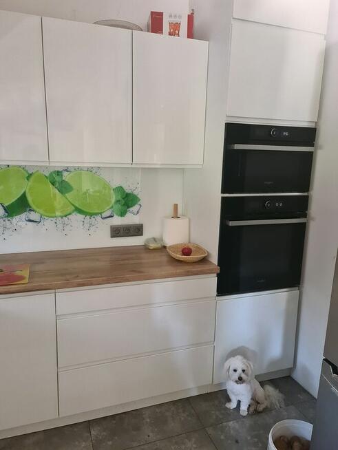 Dzialka z meldunkiem Sierosław