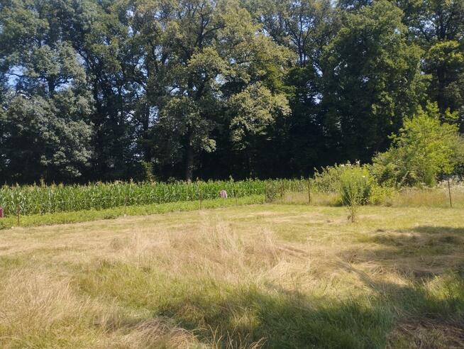 Sprzedam działkę 700m2