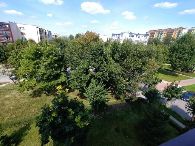 Mieszkanie 69 m2 Bełchatów os. Dolnośląskie