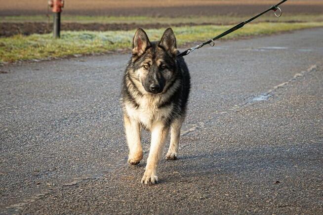 Zina szuka domu, w którym jej odwaga spotka się z miłością