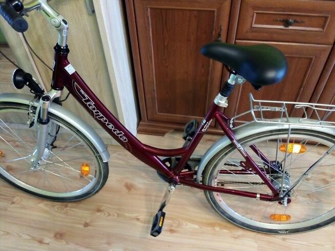 Rower damka Torpedo 26 cali.