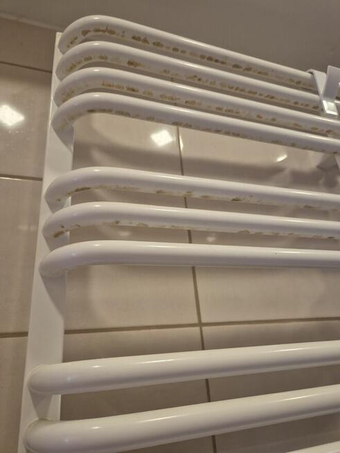 Sprzątanie domów i mieszkań