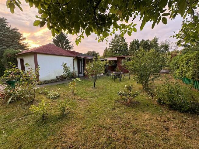 Działka ROD Mokotów Centrum