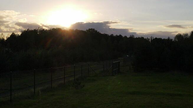 Do wynajęcia piękna, częściowo zalesiona działka rekreacyjna