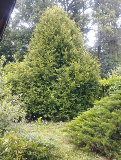 Sprzedam działkę 700m2