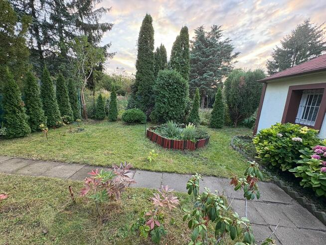 Działka ROD Mokotów Centrum