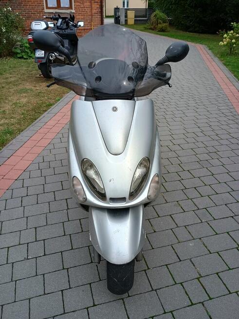 Yamaha majesty 125