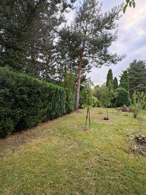 Działka ROD Mokotów Centrum