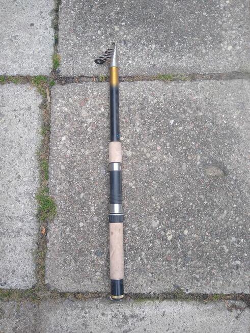 Wędka teleskopowa ok. 3 m, 15 zł.