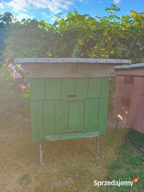 Ule wielkopolskie 12 ramkowe z pełną nadstawką