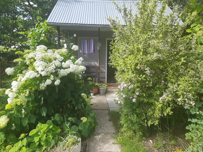 Sprzedam działkę ROD