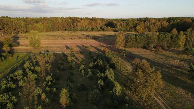 Do wynajęcia piękna, częściowo zalesiona działka rekreacyjna