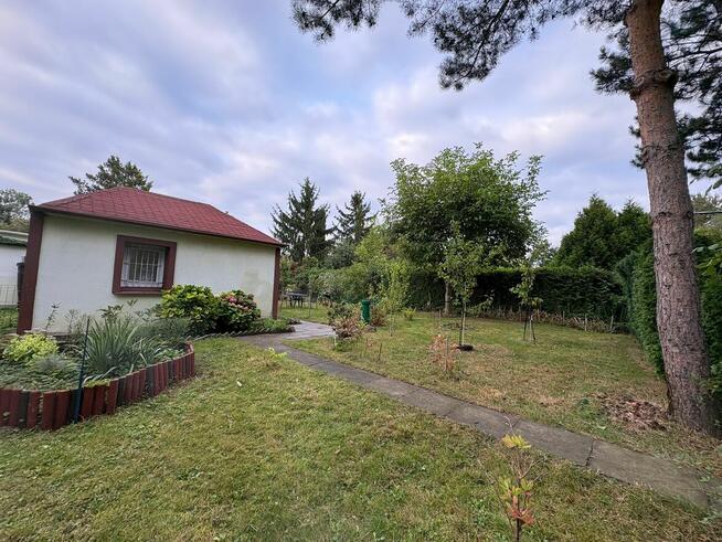 Działka ROD Mokotów Centrum