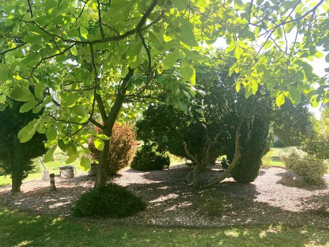 Działka z domkami letniskowymi