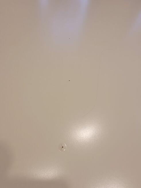 Stół rozkładany Ikea do salonu, jadalni