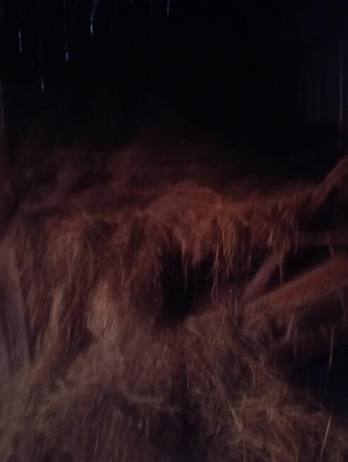 Słomę oddam za darmo.