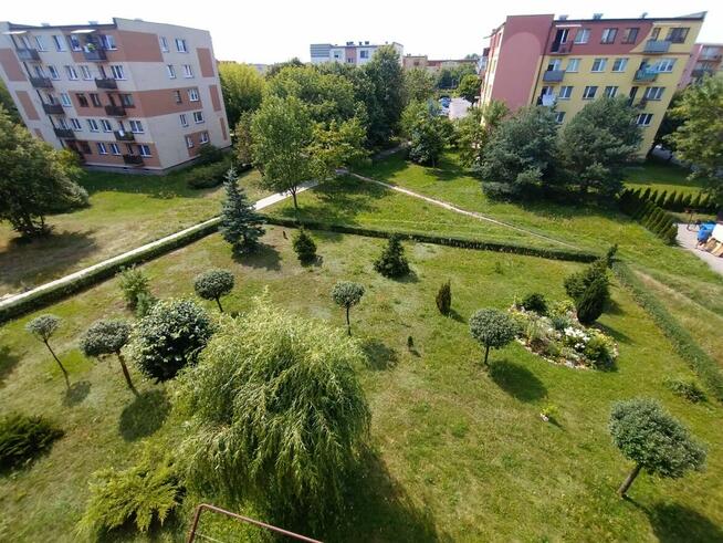 Mieszkanie 69 m2 Bełchatów os. Dolnośląskie
