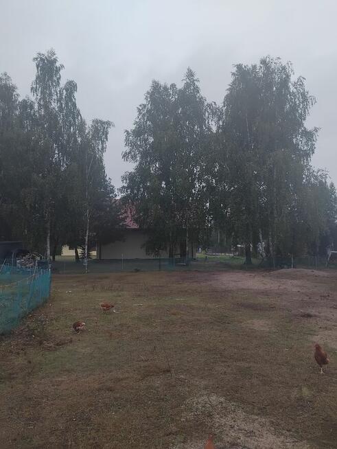 dom jendorodziny dwulokalowy RATIANO II działka ok. 1700mkw