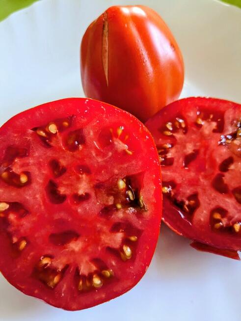 Rosyjski pomidor naj. na Świecie Silver Fire Tree nasiona