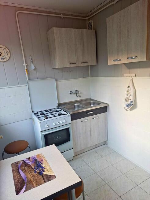 Wynajmę mieszkanie 50m w Debicy