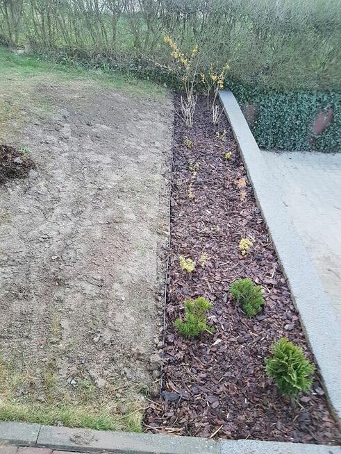 Kompleksowe ogrodnictwo, pielęgnacja i wycinka drzew