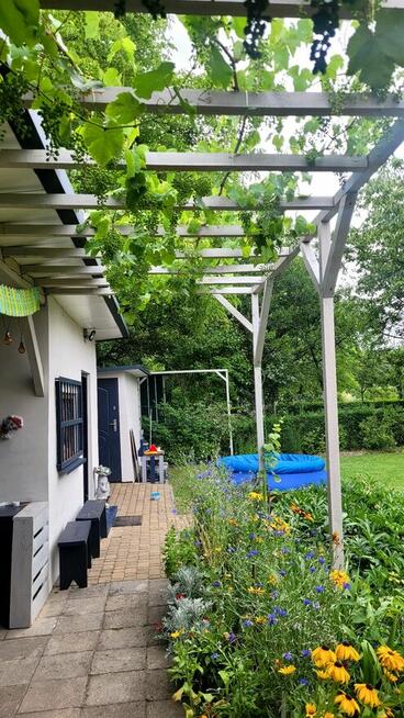 Działka ROD „SŁONECZNE WZGÓRZE” Katowice , Bogucice , ul. Os