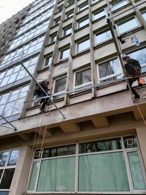 Kompleksowe ogrodnictwo, pielęgnacja i wycinka drzew