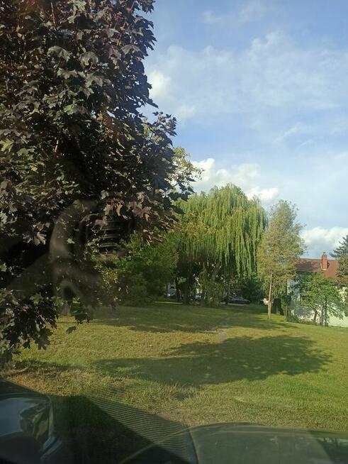 Szukam realnej, dojrzałej 55+