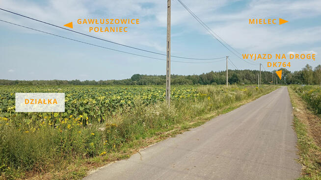 Działka budowlan 55,64 ar, WZ na 4 domy, Kliszów k. Mielca