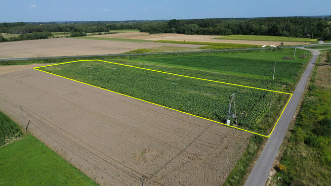 Działka budowlan 55,64 ar, WZ na 4 domy, Kliszów k. Mielca