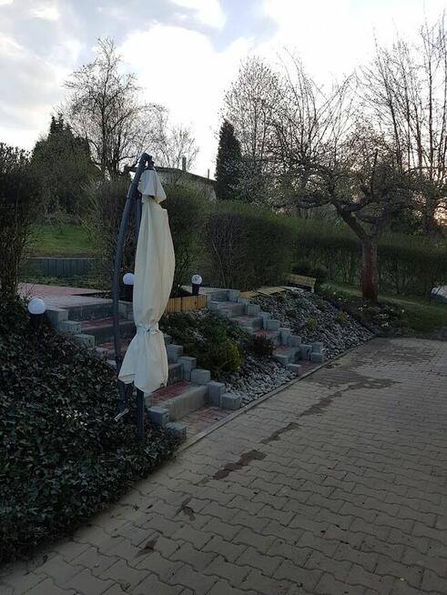 Kompleksowe ogrodnictwo, pielęgnacja i wycinka drzew