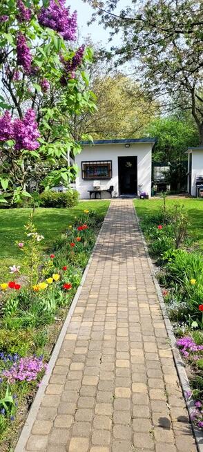 Działka ROD „SŁONECZNE WZGÓRZE” Katowice , Bogucice , ul. Os