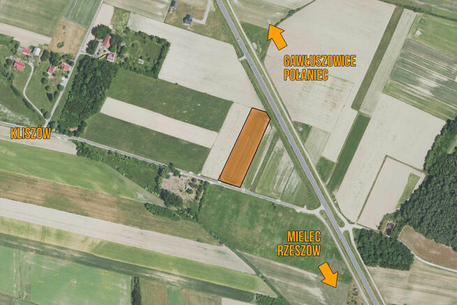 Działka budowlan 55,64 ar, WZ na 4 domy, Kliszów k. Mielca