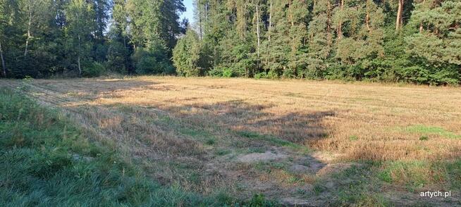 Działka rolno-budowlana Wiechetki Małe gm. Bielany