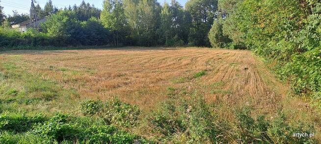 Działka rolno-budowlana Wiechetki Małe gm. Bielany