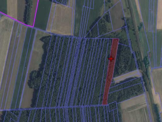 Działka leśna Podnieśno gm. Suchożebry