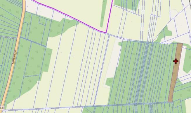 Działka leśna Podnieśno gm. Suchożebry